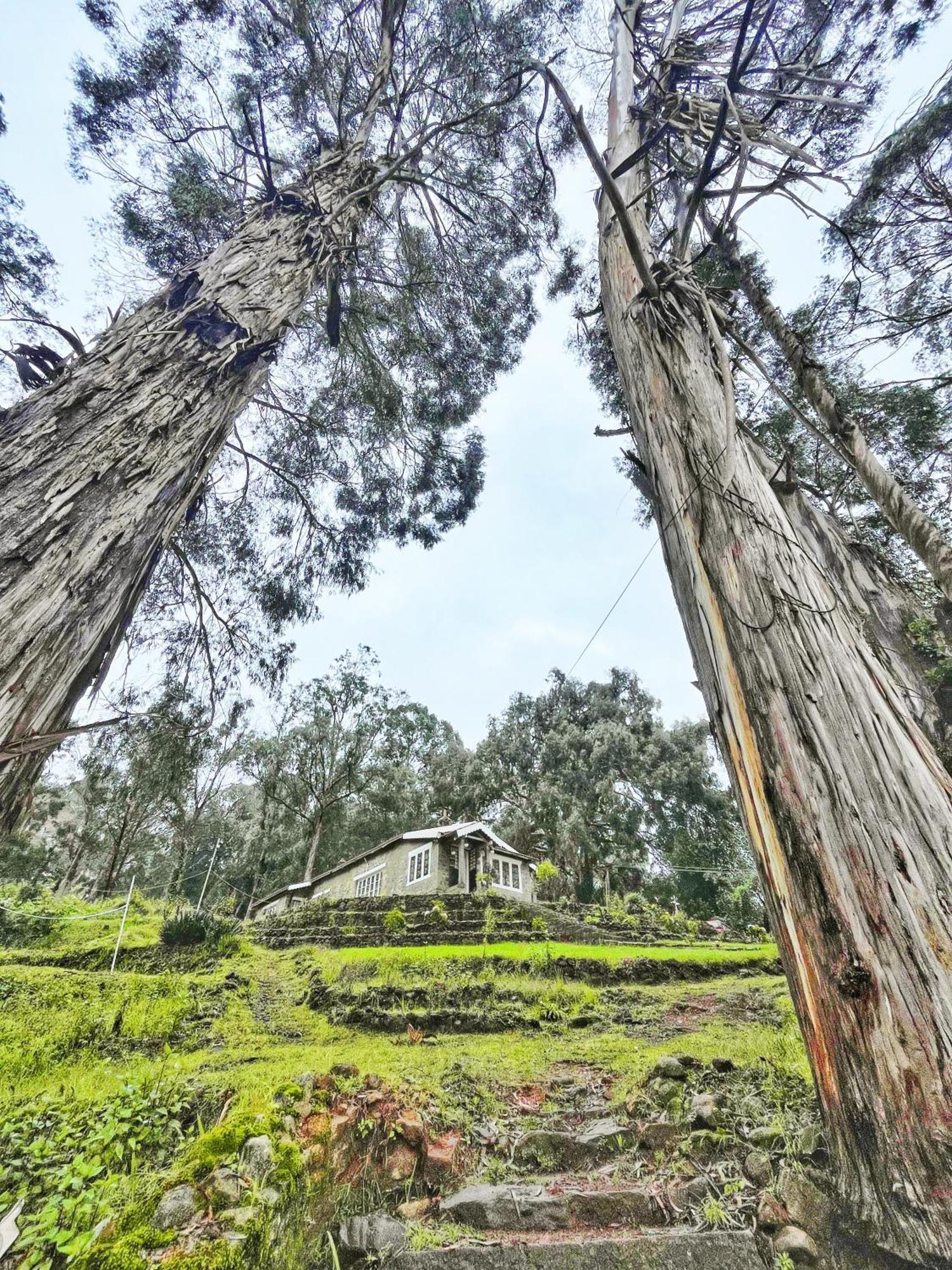 Springdale Villa Kodaikanal Eksteriør billede