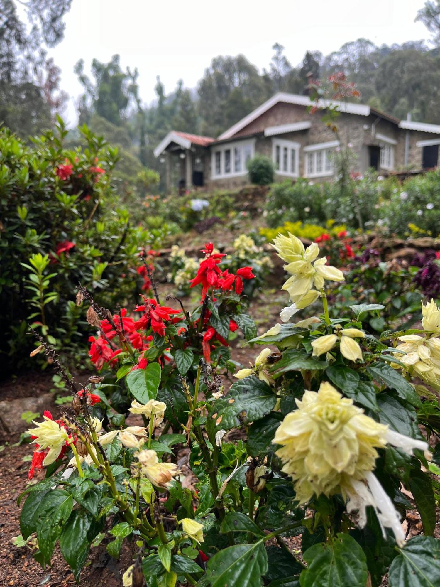 Springdale Villa Kodaikanal Eksteriør billede