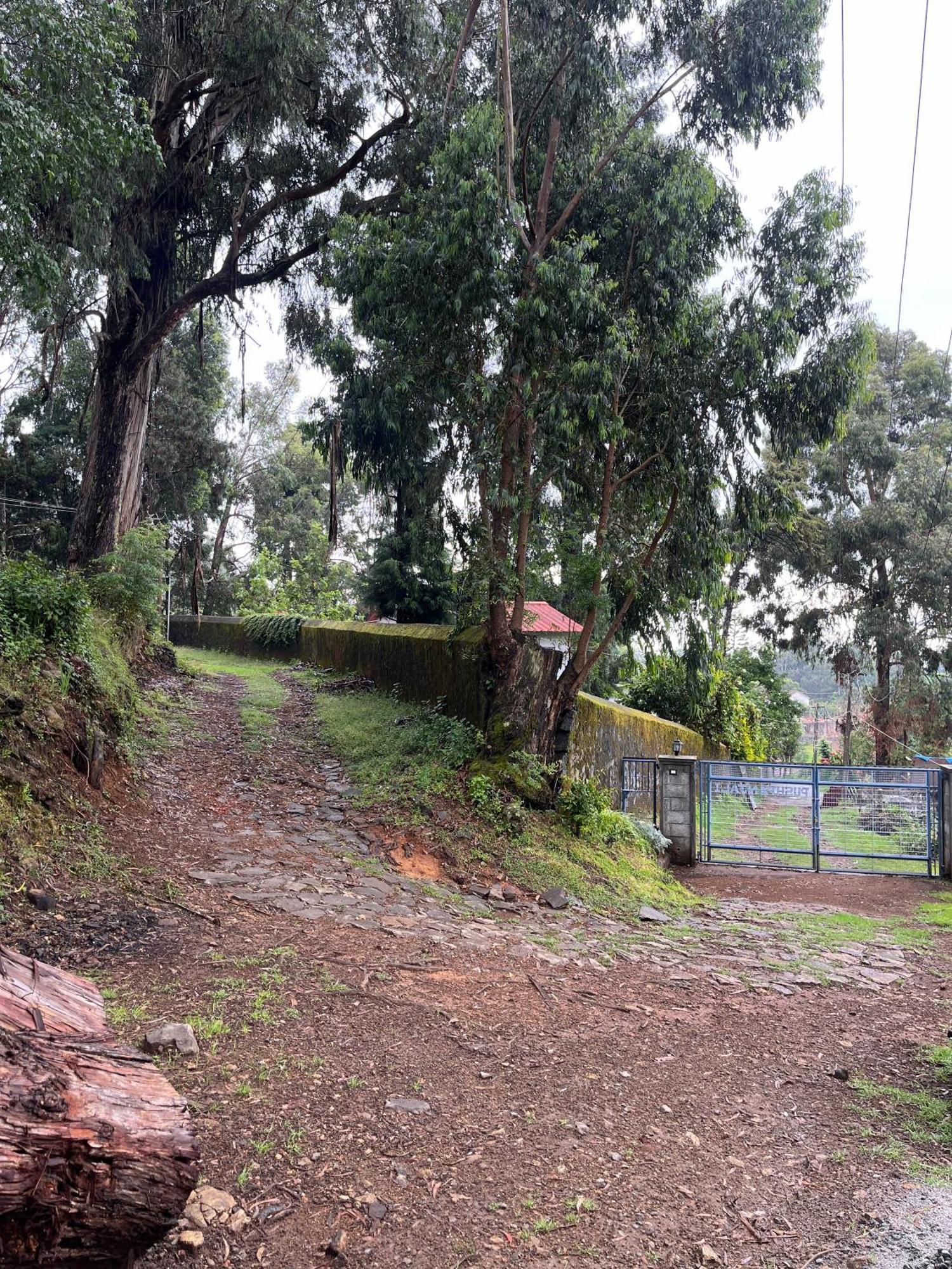 Springdale Villa Kodaikanal Eksteriør billede
