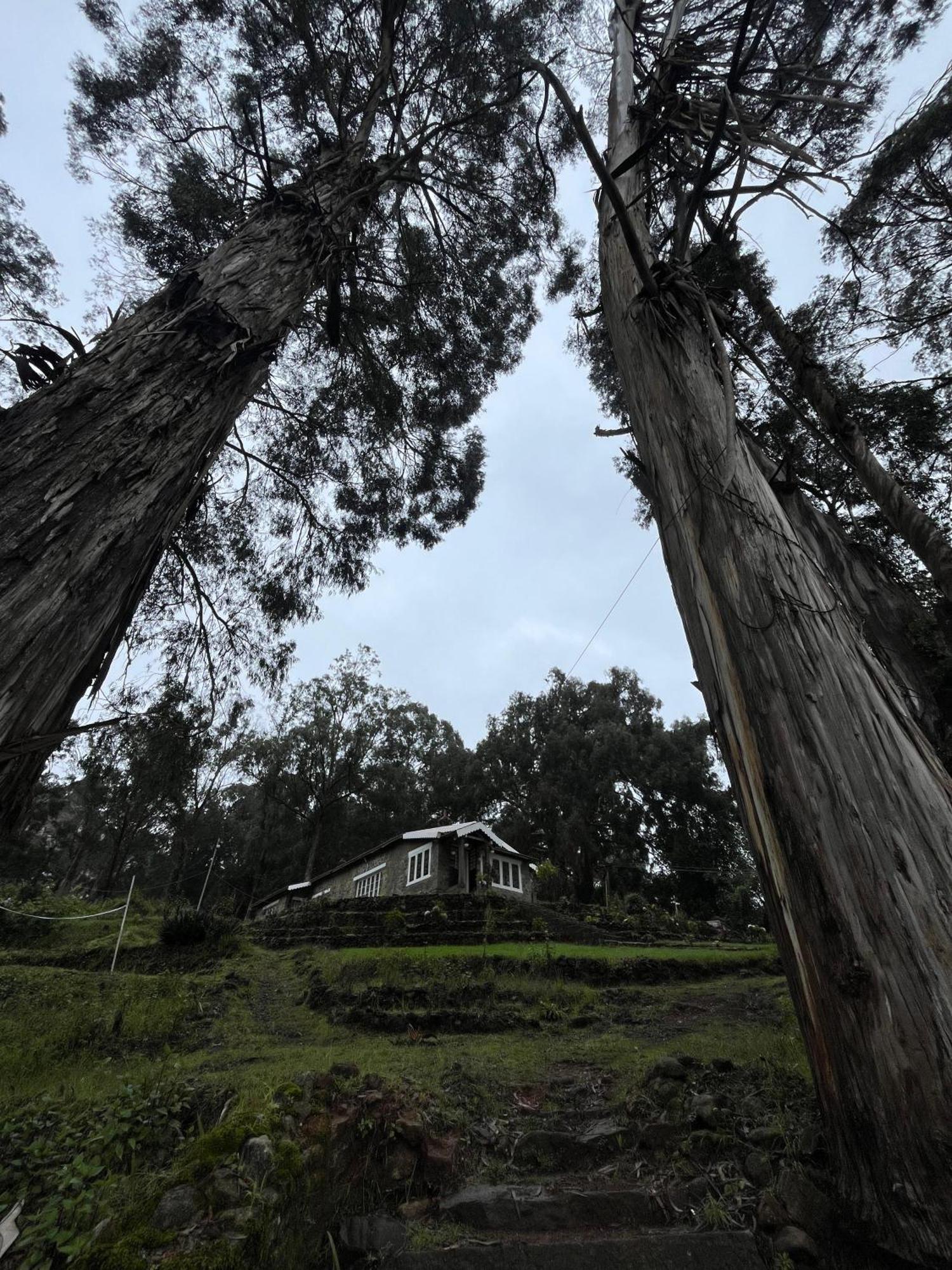 Springdale Villa Kodaikanal Eksteriør billede